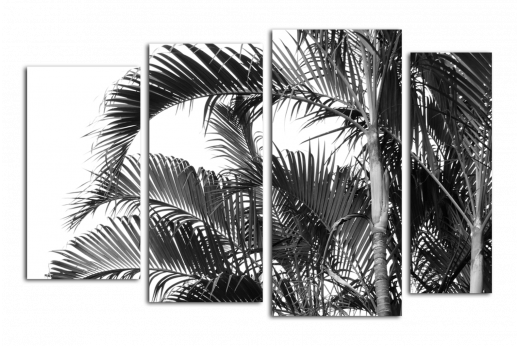 Модульная картина Пальмовые листья